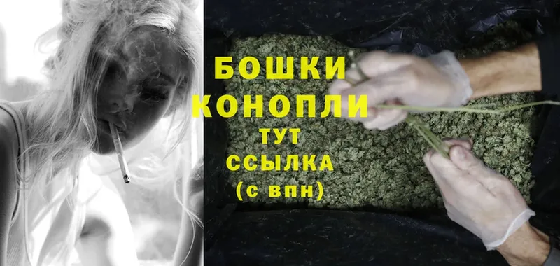 МЕГА ссылки  Георгиевск  Каннабис SATIVA & INDICA 